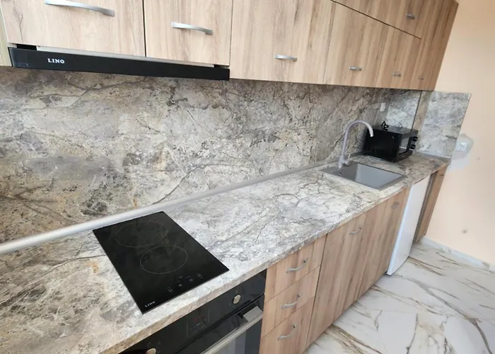 公寓 Veronika 大特尔诺沃